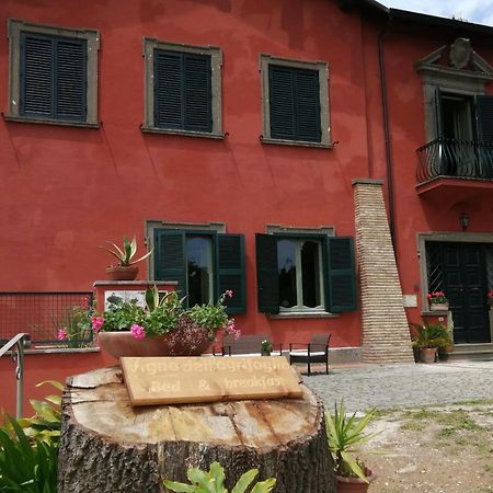 Vigna Dell'Agrifoglio - Bed And Breakfast Velletri Ngoại thất bức ảnh