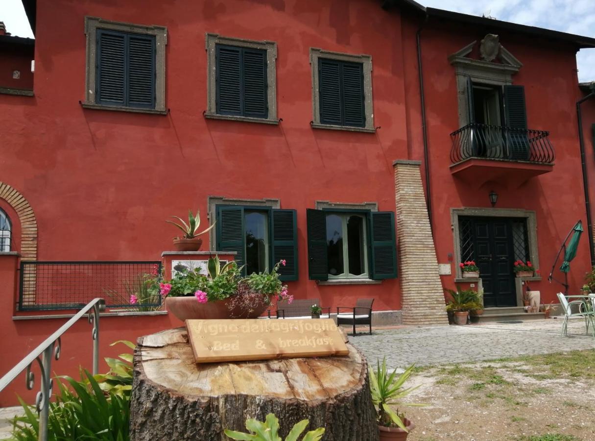 Vigna Dell'Agrifoglio - Bed And Breakfast Velletri Ngoại thất bức ảnh